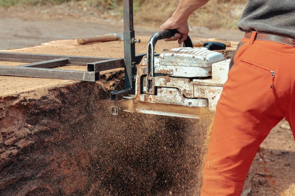 carpenter in Dronningmølle