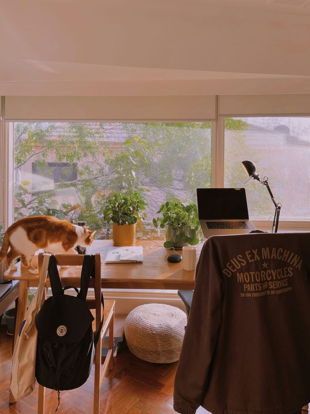 Smarta Hem & IoT