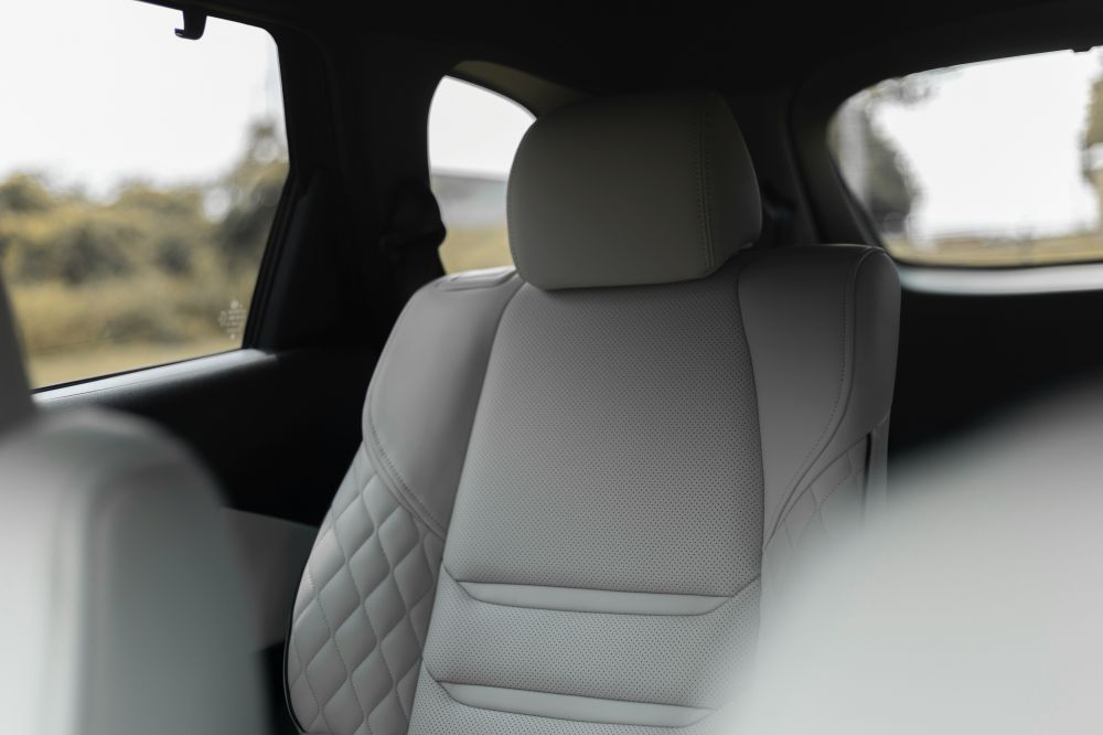 leather finishing car