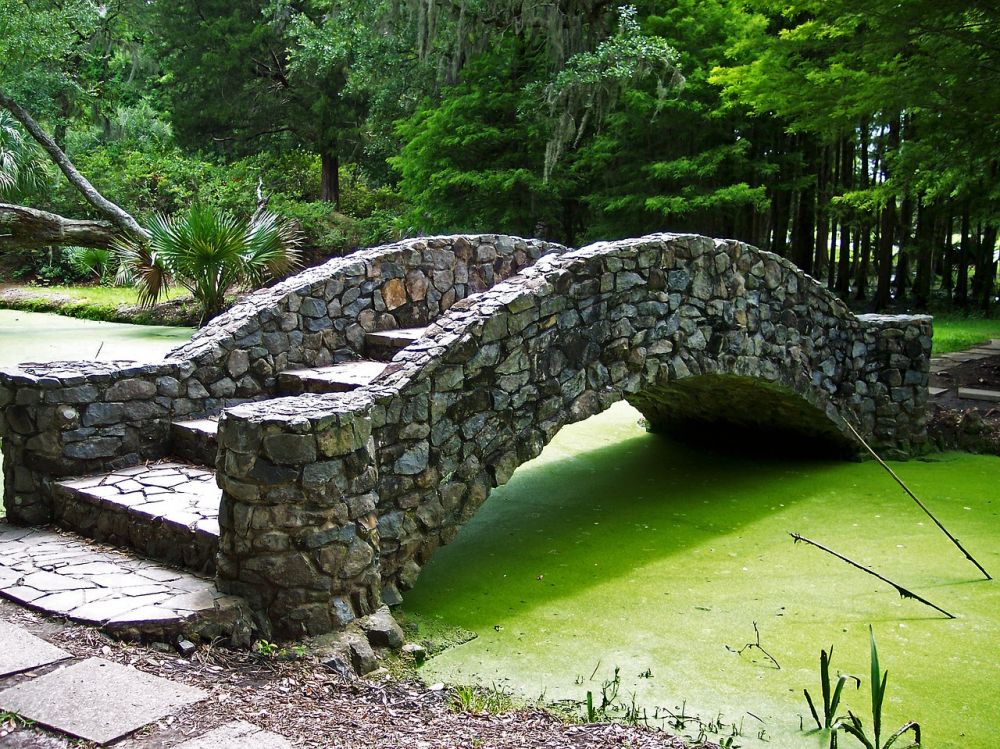 Algae treatment Svendborg