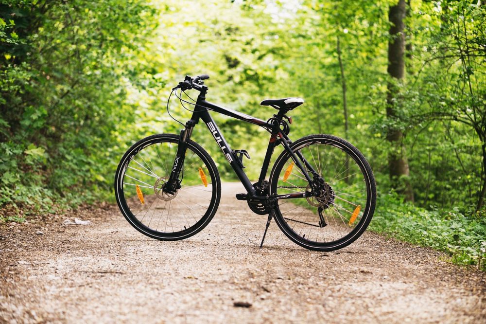 benefit cycle