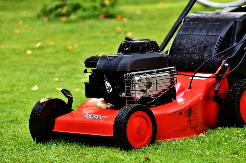 lawn mowing in Gotland