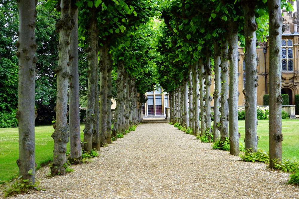 Garden Örebro
