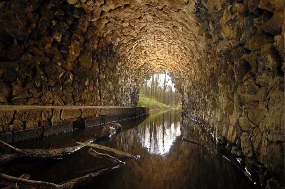 sewer master