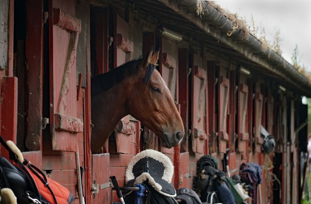 Building a riding centre