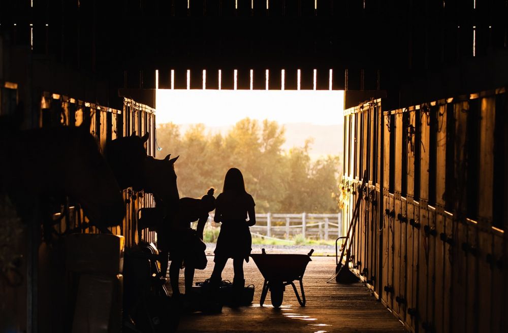 Building a riding centre