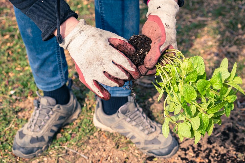 garden services varberg