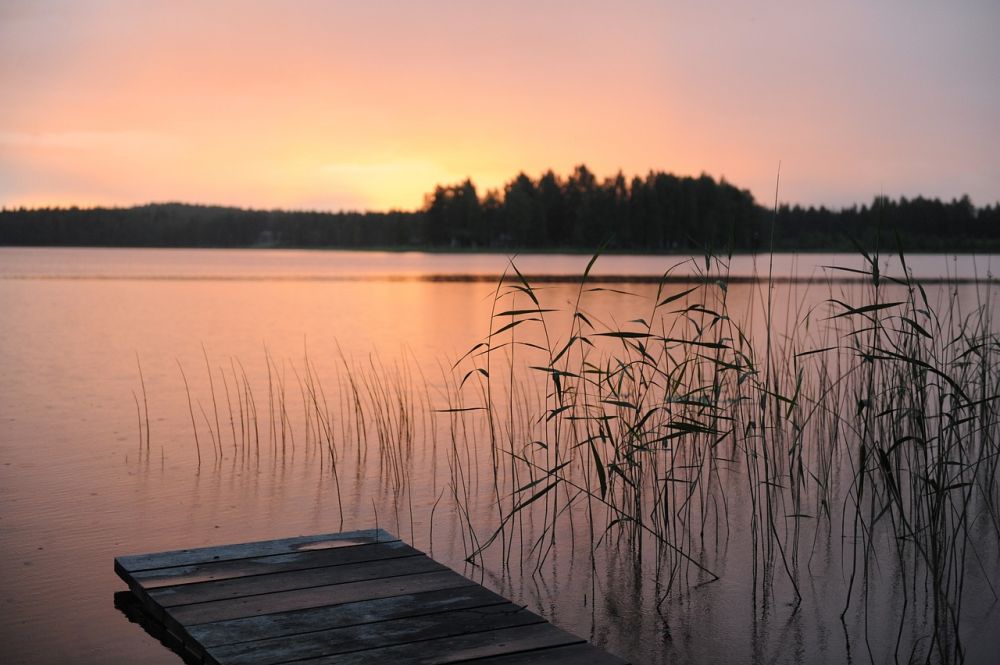 residence källö-knippla