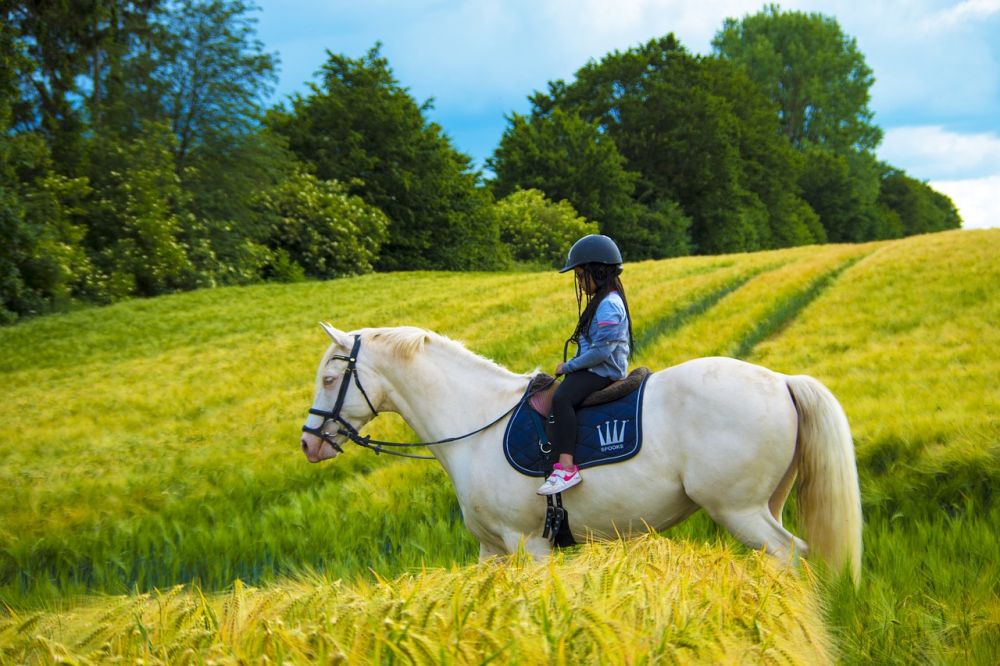 Horse riding Stockholm