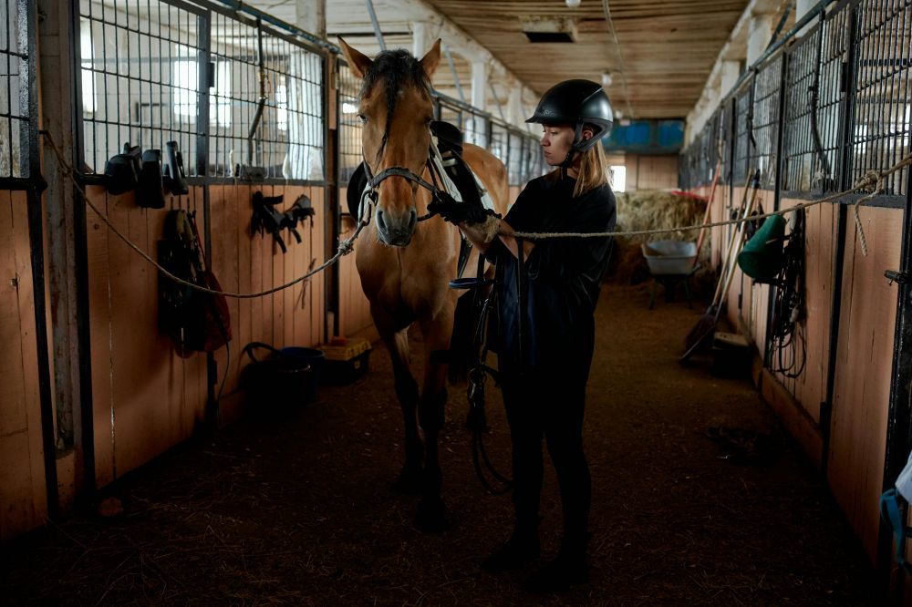 horses