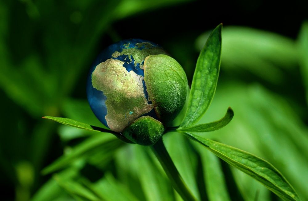 sustainability consultant