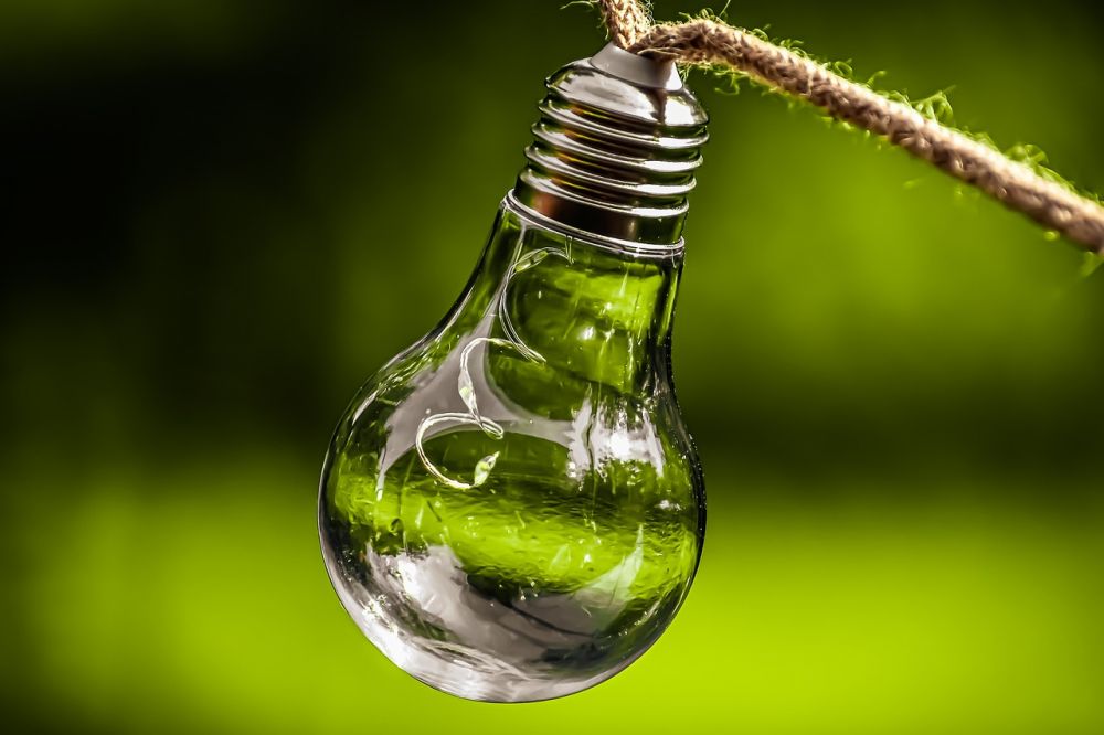 sustainability consultant