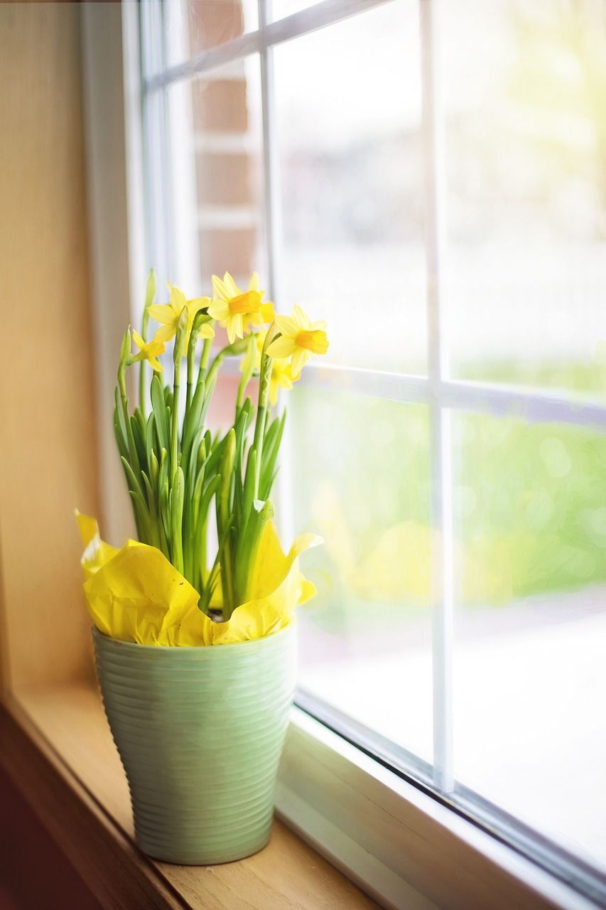 Replacement windows falster