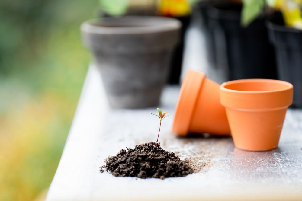 rusty pots