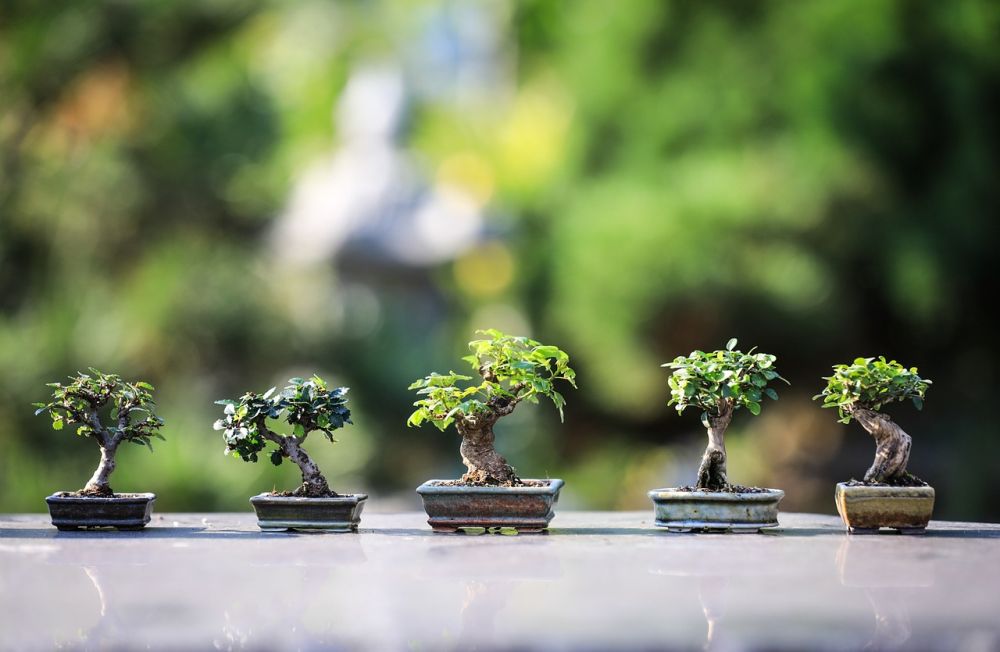 rusty pots