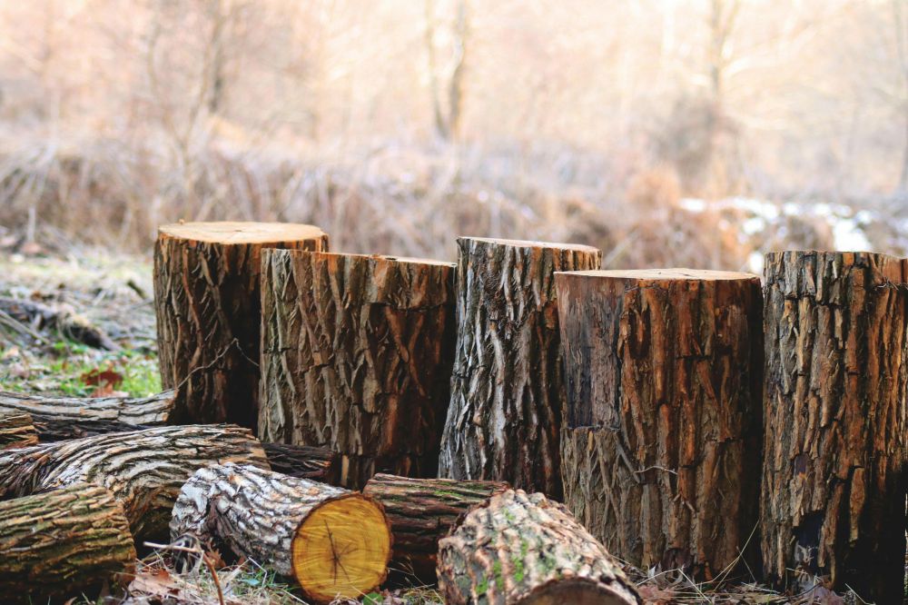 buy firewood Härjedalen