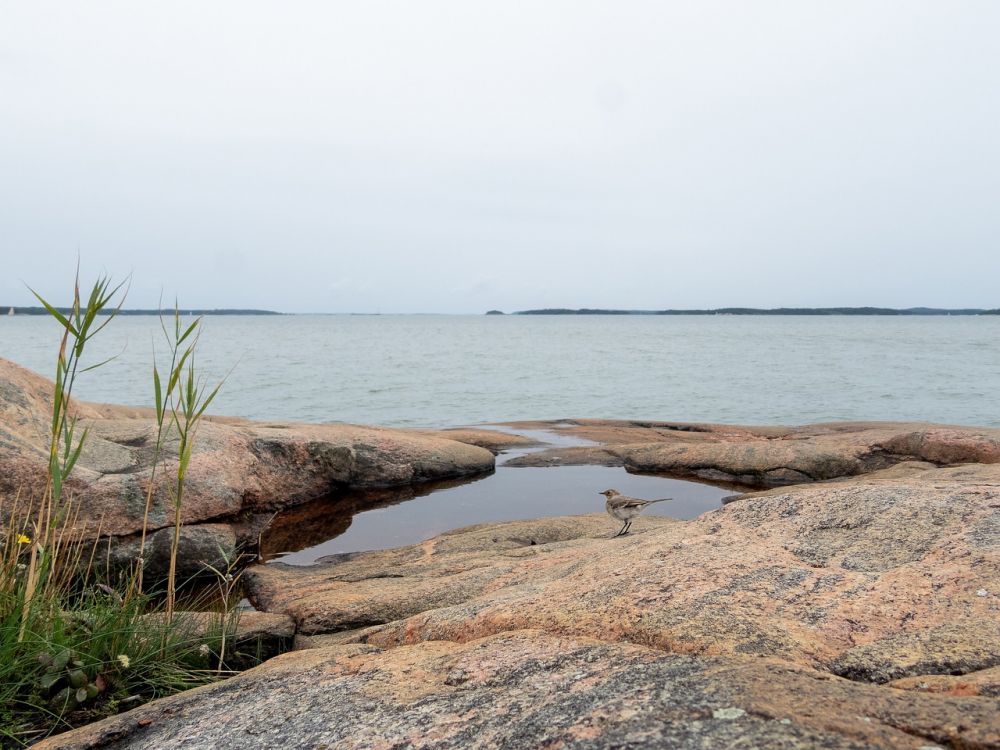 hostel värmdö