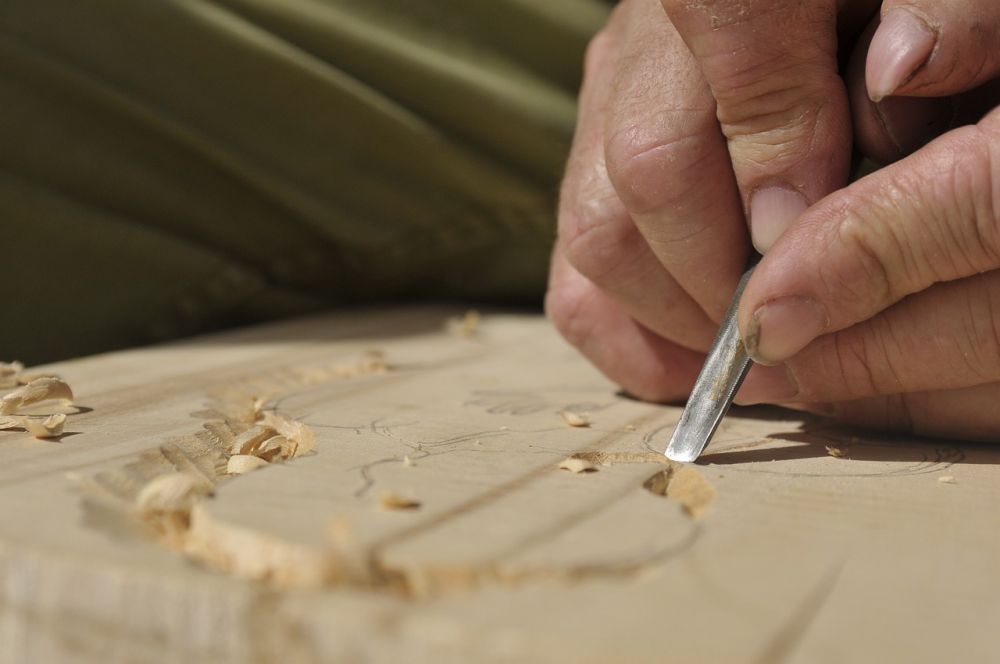 carpenter in Dronningmølle