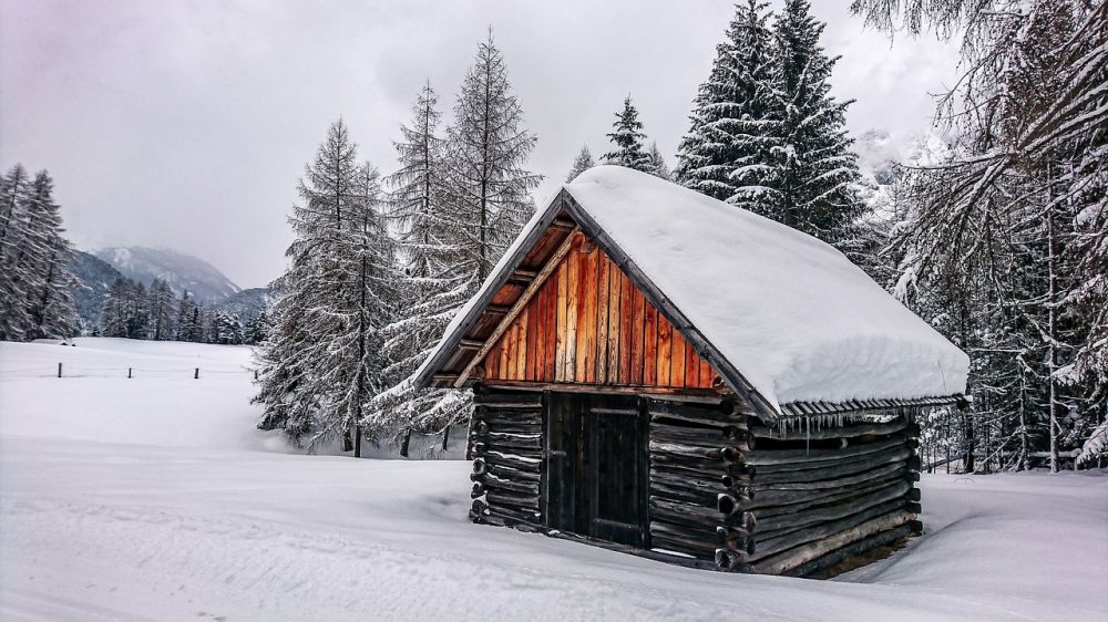 Buying a log house