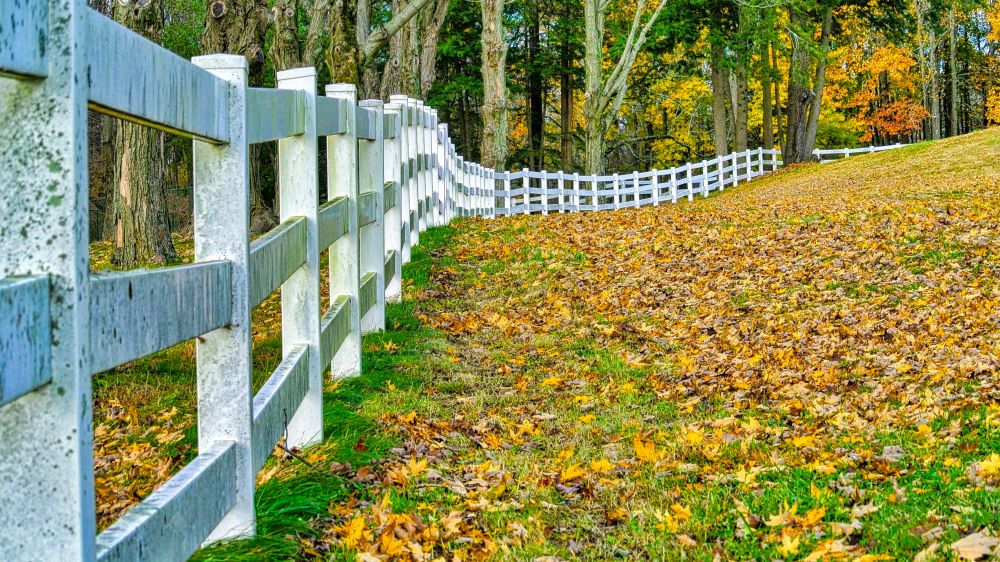 Fence posts