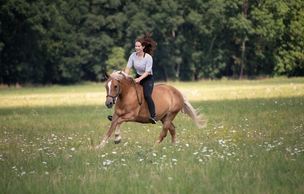 riding equipment