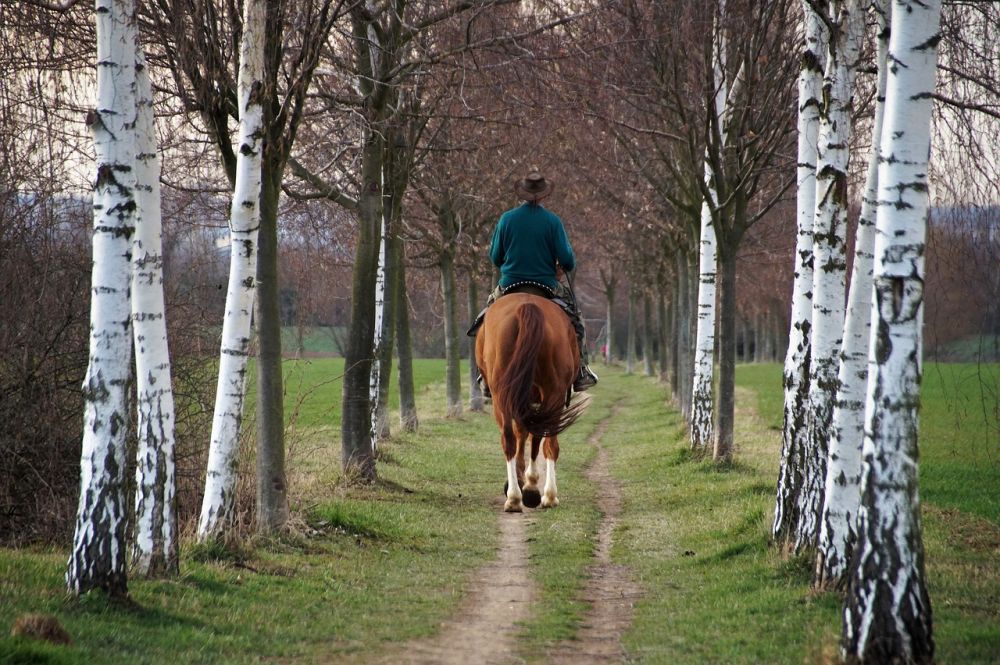 riding equipment