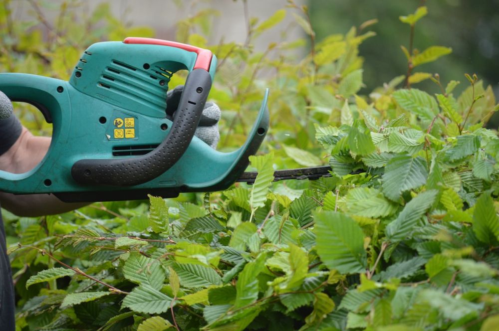 Makita hedge trimmers