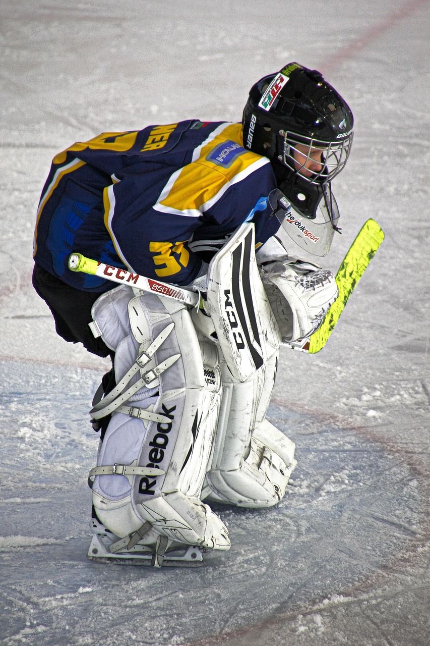 ice hockey skates