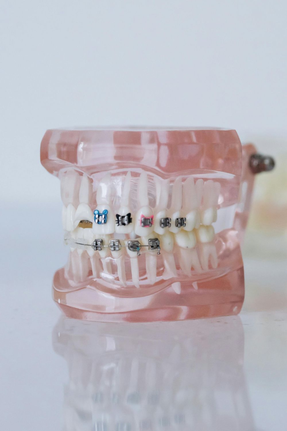 Orthodontics