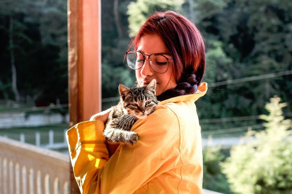 Animal communicator