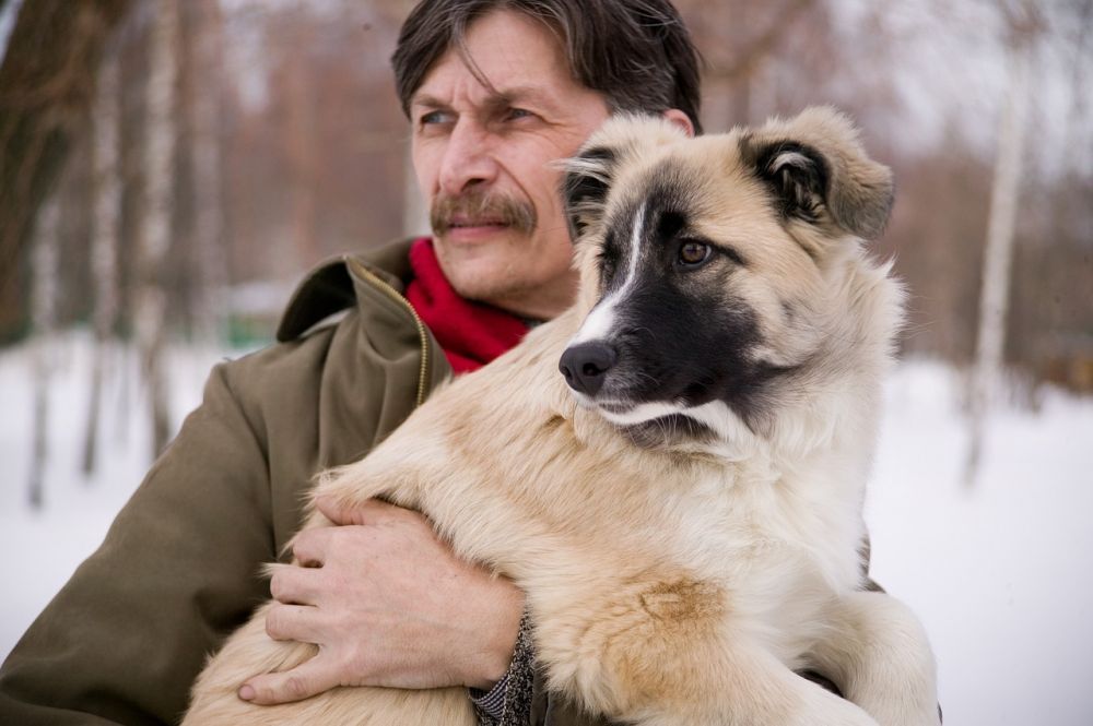 Animal communicator