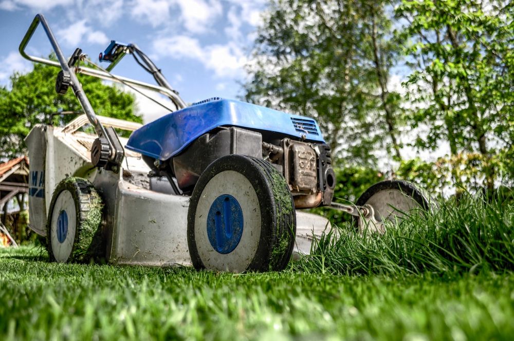 Hedge trimming Holbæk