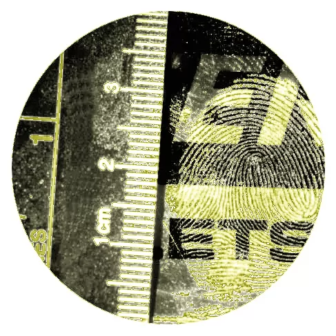 digital microscopes