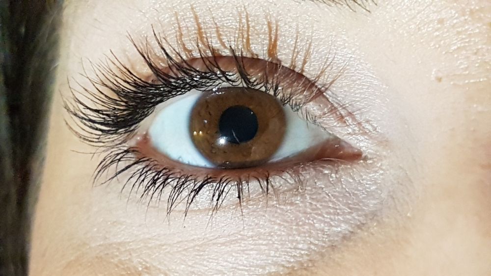 lashes and eyebrows