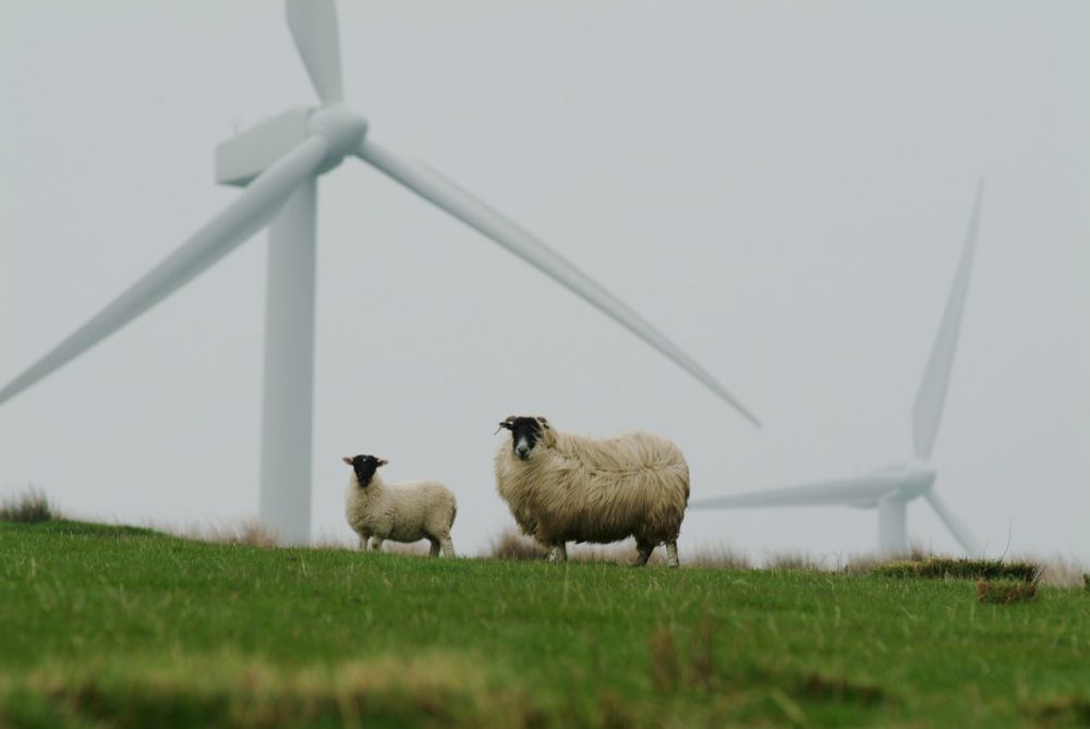 wind turbine service