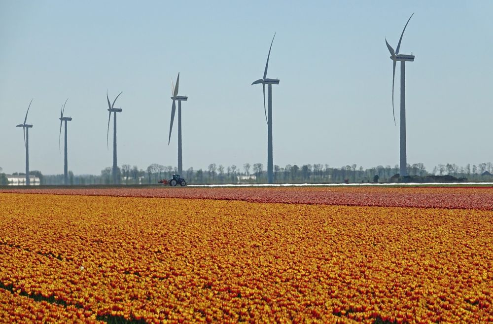 wind turbine service