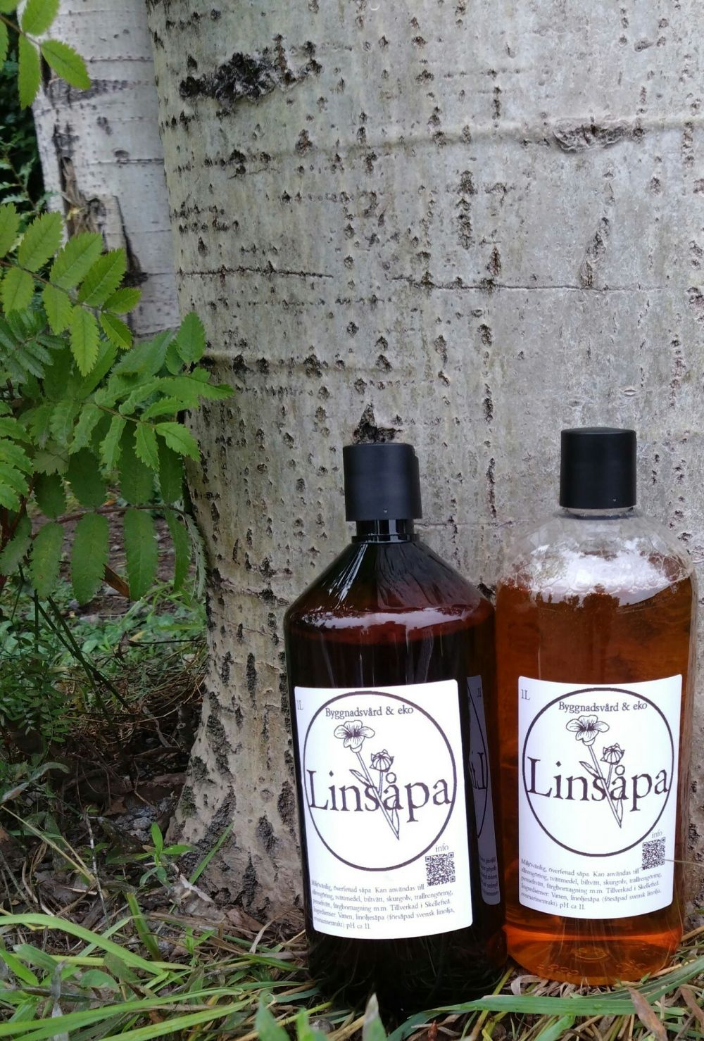 Lentil soap