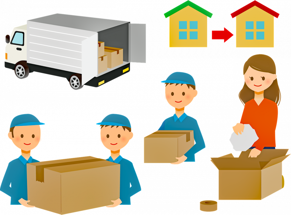 Moving company Zealand