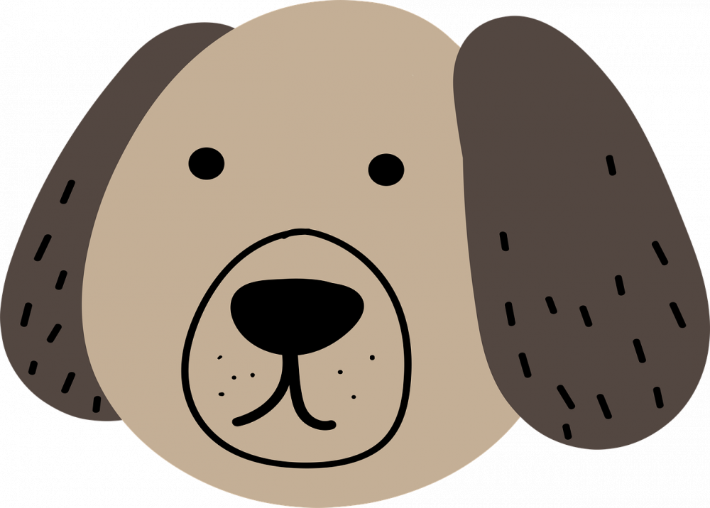 Veterinarian Slagelse