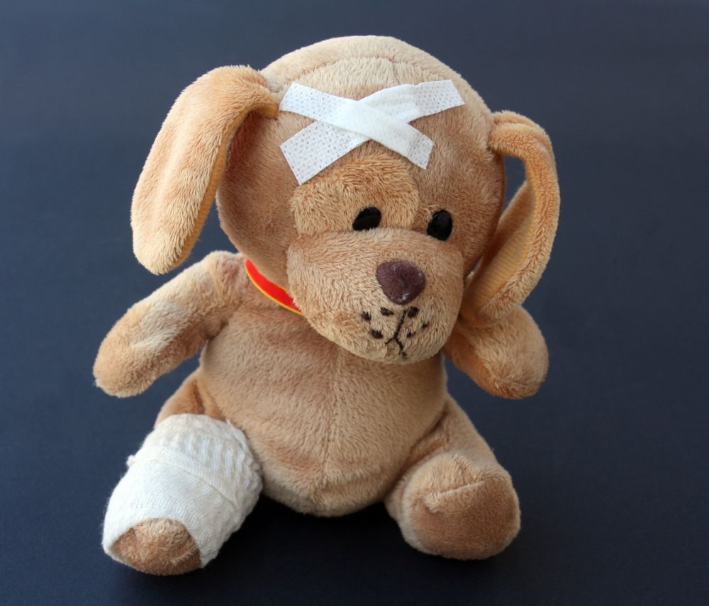 veterinarian Gothenburg