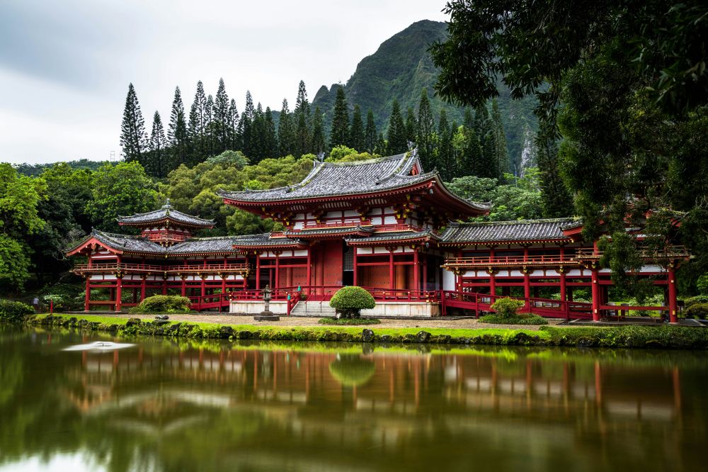 travelling to Japan with a Danish tour guide