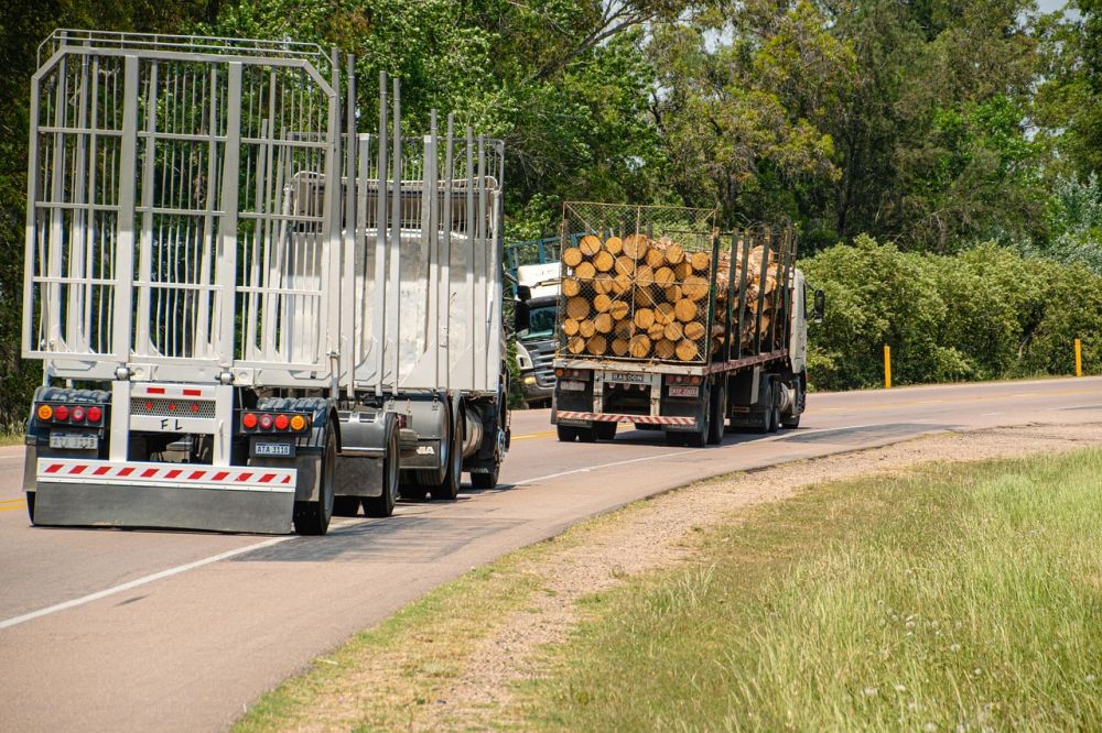 timber transport