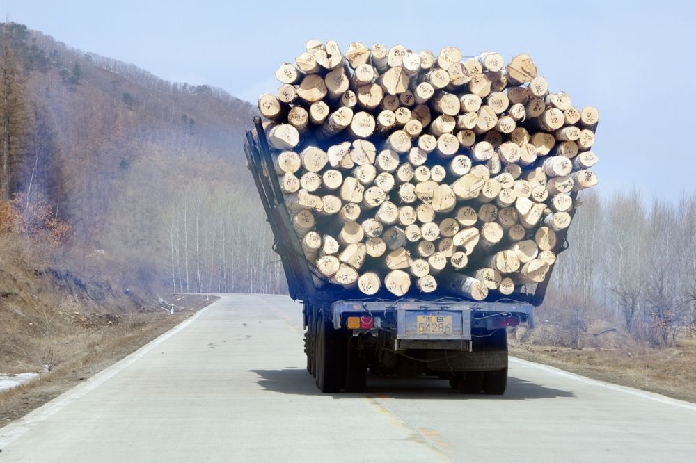 deforestation