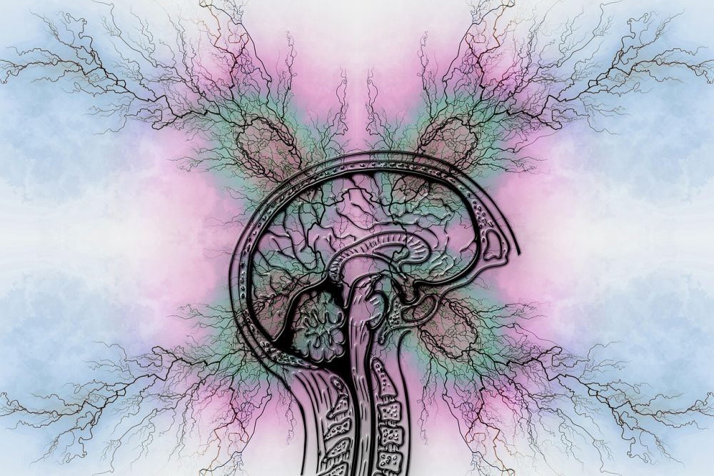 treatment of adhd