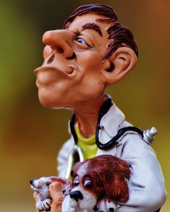 veterinary business system