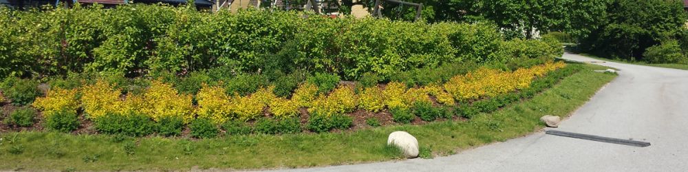 invasive plants skåne
