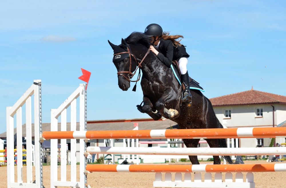 Equestrian sports