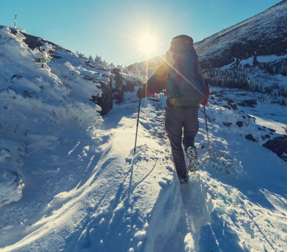 tromso northern lights