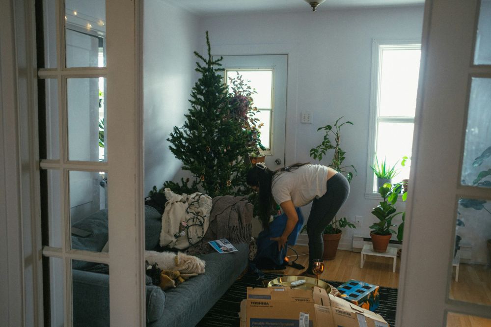 removal cleaning Lidköping