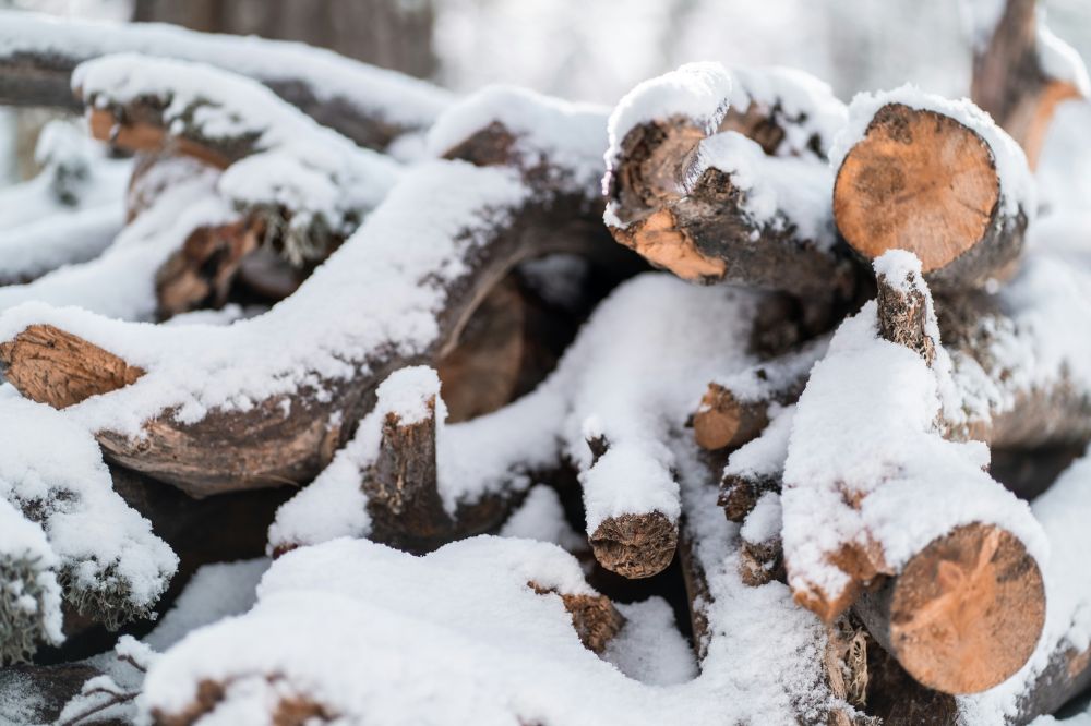tree felling gothenburg